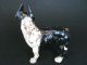 Rare Antique Boston Terrier Puppy Dog Solid Figure Cast Iron Hubley Doorstop Metalware photo 2