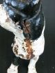 Rare Antique Boston Terrier Puppy Dog Solid Figure Cast Iron Hubley Doorstop Metalware photo 7