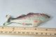 Colorful Fish Maybe Salmon Tape Measure; C1930 Celluloid,  Novelty,  Antique Figural Tools, Scissors & Measures photo 1