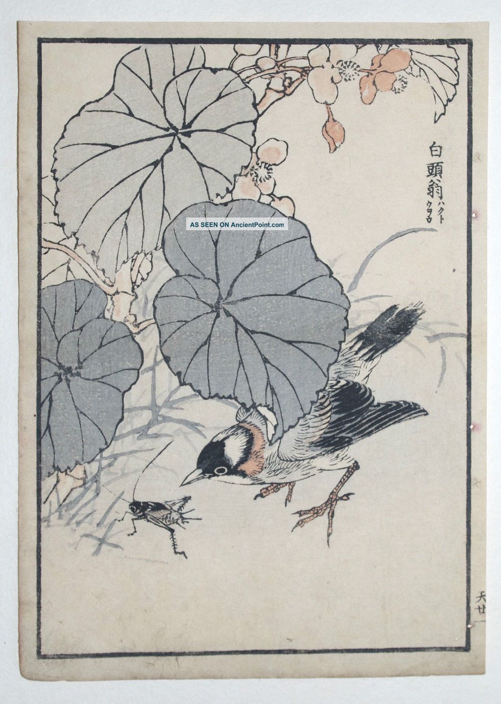 Bird & Cricket : 1880s Japanese Woodblock Bird Birds Print By Bairei Prints photo