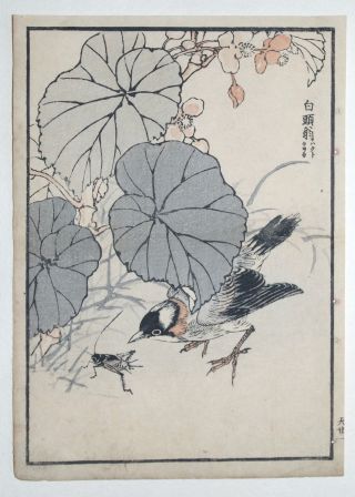 Bird & Cricket : 1880s Japanese Woodblock Bird Birds Print By Bairei photo