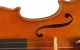 Old Violin Labeled G.  Lucci 1946 Geige Violon Violine Violino Viola Fiddle String photo 4