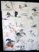 57x 19ct/20ct Japanese Paintings & Calligraphies By Unknown Artists (hma) 523 Paintings & Scrolls photo 4