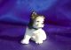 Vintage Iron Hubley Boston Terrier Bulldog Bully Pitbull Puppy Dog Paperweight Metalware photo 2