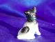 Vintage Iron Hubley Boston Terrier Bulldog Bully Pitbull Puppy Dog Paperweight Metalware photo 3
