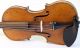 Old Fine Violin Labeled Gagliano Geige Violon Violine Violino Viola Ready Toplay String photo 2