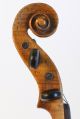 Old Fine Violin Labeled Gagliano Geige Violon Violine Violino Viola Ready Toplay String photo 8
