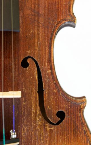 Old Fine Violin Lab.  C.  Testore Geige Violon Violino Violine Fiddle Italian 1740 photo