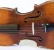 Old Fine Violin Lab.  C.  Testore Geige Violon Violino Violine Fiddle Italian 1740 String photo 4