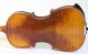 Old Fine Violin Lab.  C.  Testore Geige Violon Violino Violine Fiddle Italian 1740 String photo 7