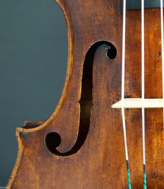 300 Years Old Italian 4/4 Violin Labeled P.  Guarnerius 1726 Violon Geige photo