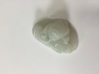 Chinese Antique Cricket Jade Skin Pendant/necklace For Men/women photo