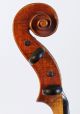 Old Fine Violin Labeled Fagnola 1912 Geige Violon Violine Violino Viola Italian String photo 10