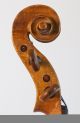 Old Fine Violin Labeled Grancino 1698 Geige Violon Violine Violino Viola Italian String photo 9