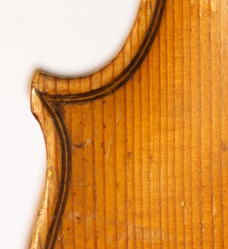Old Fine Violin Labeled Grancino 1698 Geige Violon Violine Violino Viola Italian photo