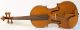 Old Fine Violin Labeled Grancino 1698 Geige Violon Violine Violino Viola Italian String photo 1