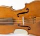 Old Fine Violin Labeled Grancino 1698 Geige Violon Violine Violino Viola Italian String photo 4