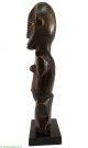 Ngbaka Or Ngbandi Figure Nabo On Stand Dr Congo African Sculptures & Statues photo 2