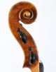 Old Fine Violin Labeled Carcassi Geige Violon Violine Violino Viola Italian 1746 String photo 9