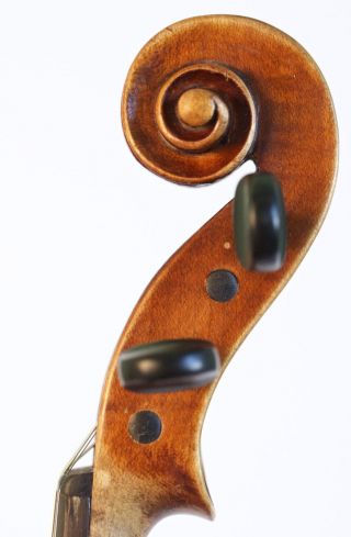 Old Fine Violin Labeled Carcassi Geige Violon Violine Violino Viola Italian 1746 photo