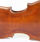 Old Fine Violin Labeled Carcassi Geige Violon Violine Violino Viola Italian 1746 String photo 7