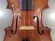 Rare German Framus Stradivarius Antique Old Violin Violino Violine Viola Violini String photo 7