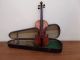 Schuster & Co Markneukirchen Antique Old Violin Violino Violine Viola Violini String photo 11