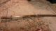 Extremely Sharp Antique Chinese Damascus Steel Sword With Ray Skin - (hand Made) Swords photo 1