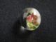 Studio Artist W.  Rutter 1940 - 50 ' S Pink ' Rutter Rose ' Paperweight Button Buttons photo 1