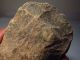Paleolithic Laos Celt Ax Adze 5.  7inch Stone Tool Artifact / Menhir Area [x5] Neolithic & Paleolithic photo 5