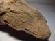 Paleolithic Laos Celt Ax Adze 5.  7inch Stone Tool Artifact / Menhir Area [x5] Neolithic & Paleolithic photo 8