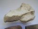 Ancient Egyptian 1290 B.  C.  Clay Pot & Bone Fragments From Ramesseum Egyptian photo 1