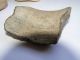 Ancient Egyptian 1290 B.  C.  Clay Pot & Bone Fragments From Ramesseum Egyptian photo 5