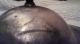 Antique Brass Pan Chandelier With 4 Yost Marked Light Fixtures Chandeliers, Fixtures, Sconces photo 4