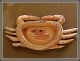 Antique Old Trobriand Island Solomon Islands Papua Guinea Tribal Carved Crab Pacific Islands & Oceania photo 7