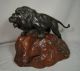 Antique Japanese Bronze Lion Signed Glass Eyes With Wood Base Metalware photo 1
