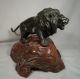 Antique Japanese Bronze Lion Signed Glass Eyes With Wood Base Metalware photo 4