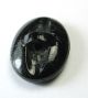 Antique Oval Black Glass Button Crane Bird In A Marsh W/ Gold Luster Buttons photo 1