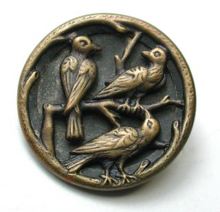 Antique Brass Button 3 Birds Perched In A Tree Design - 1 On Branch Border photo