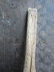 Antique Civil War Era Wooden Ware Chip Carved Wash Tub Wash Rod Fragment Primitives photo 5