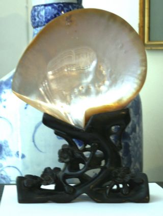 Antique Mother Of Pearl Shell On Stand photo
