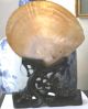 Antique Mother Of Pearl Shell On Stand Wth Remains Of Shibayama Decoration Other photo 1
