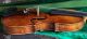 A Rare Very Fine Old Italian Violin Attributed To Matteo Goffriller String photo 9
