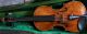 A Rare Very Fine Old Italian Violin Attributed To Matteo Goffriller String photo 1