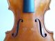 Antique Old Violin,  Modern Violin In,  Very Rare And Fine Piece String photo 2