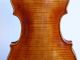Antique Old Violin,  Modern Violin In,  Very Rare And Fine Piece String photo 5