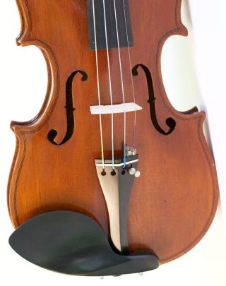 Old Italian Violin D.  Busani 1780 Geige Violon Violino Violine Fiddle photo
