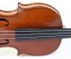 Old Italian Violin D.  Busani 1780 Geige Violon Violino Violine Fiddle String photo 3