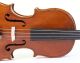 Old Italian Violin D.  Busani 1780 Geige Violon Violino Violine Fiddle String photo 4