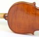 Old Italian Violin D.  Busani 1780 Geige Violon Violino Violine Fiddle String photo 8
